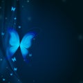 Blue butterflys Royalty Free Stock Photo