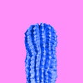 Blue cactus on a pink background. Modern art, collage.