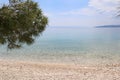 Picturesque beach on the seashore, pine branch against the background of turquoise water and blue sky, Croatia Royalty Free Stock Photo