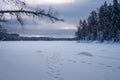 Blue calm winter landscape of a frozen lake in Repovesi National Park, Finland Royalty Free Stock Photo