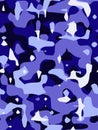 Blue Camouflage Texture