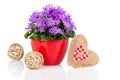 Blue campanula flowers for Valentine's Day with wooden heart