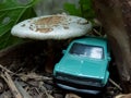 Blue Car under Huge Mushroom