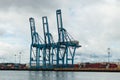 Blue cargo cranes