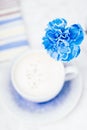 Blue carnation flower on a coffee cappuccino background, copy space, top view Royalty Free Stock Photo