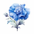 Blue Carnation Watercolor Drawing: Iconic, Accurate, And Melancholic Symbolism