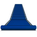 Blue carpet with ladder