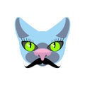 Blue Cat with big mustache. Pet hipsters. Vector icon, logo