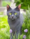 blue cat with green eyes in the garden illustration Royalty Free Stock Photo