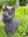 blue cat with green eyes in the garden illustration Royalty Free Stock Photo