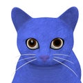 Blue cat head