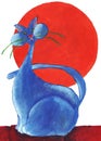 Blue cat with the sun red Royalty Free Stock Photo