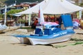 The blue catamaran pedal boat is stylized under the bodies of dolphins with the inscription `Rent a boat` on a sandy beach