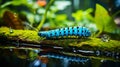 Blue Caterpillar Swimming In Serene Waterfall Pond