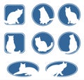 Blue cats frames