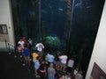 The Blue Cavern Exhibit. Aquarium of the Pacific, Long Beach, California, USA