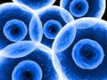 Blue cells