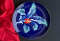Blue ceramic dinner plate with red napkin isolated on black text Royalty Free Stock Photo