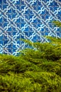 Blue ceramic tiles in front of green pine branches