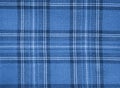 Blue Checked Fabric