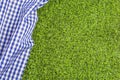 Blue checkered napkin on the green grass. Fondo Royalty Free Stock Photo