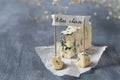 Blue cheese with blue mold and banner with name on grey background. Copy space