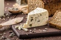 Blue cheese delicious cheese Royalty Free Stock Photo