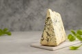 Blue cheese piece with fresh basil leaves over gray background. One triangle of cheese Royalty Free Stock Photo