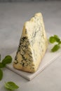 Blue cheese piece with fresh basil leaves over gray background. One triangle of cheese Royalty Free Stock Photo