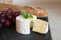 Blue cheese on a plate with grapes. Royalty Free Stock Photo