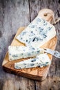 Blue cheese slices Royalty Free Stock Photo