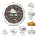 Blue cheese sticker design on mockup wrapper. Vector label with outline curds set. Royalty Free Stock Photo