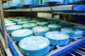 blue cheese wheels aging at precise temperature Royalty Free Stock Photo