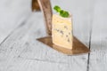 Blue cheese with white mould Royalty Free Stock Photo