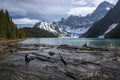 Blue Chephren Mountain Lake Driftwood Water Distant Peaks Banff National Park Canadian Rockies