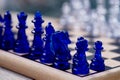 Blue chess.Knight on the chessboard. Closely
