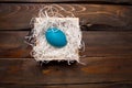 Blue chicken, painted egg for the Easter holiday in a box on a wooden weathering background Royalty Free Stock Photo