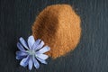 Blue chicory flower and powder of instant chicory Royalty Free Stock Photo