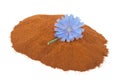 Blue chicory flower and powder of instant chicory Royalty Free Stock Photo