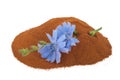 Blue chicory flower and powder of instant chicory