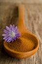 Blue chicory flower and spoon of powder instant chicory Royalty Free Stock Photo