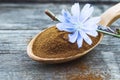 Blue chicory flower and a wooden spoon of chicory powder on an old wooden table. Chicory powder. The concept of healthy diet drink Royalty Free Stock Photo