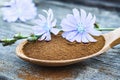 Blue chicory flower and a wooden spoon of chicory powder on an old wooden table. Chicory powder. The concept of healthy diet drink Royalty Free Stock Photo