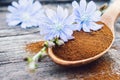 Blue chicory flower and a wooden spoon of chicory powder on an old wooden table. Chicory powder. The concept of healthy diet drink Royalty Free Stock Photo