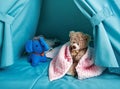 Blue children tent with toys