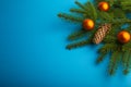 blue Christmas background with christmas tree branches Royalty Free Stock Photo