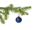 Blue Christmas ball decoration hanging on pine branch Royalty Free Stock Photo