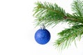 A blue christmas ball on fir branch. Royalty Free Stock Photo