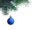 Blue Christmas ball hanging on fir tree branch Royalty Free Stock Photo