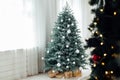 Blue Christmas tree with pine decor gifts for the new year in the interior